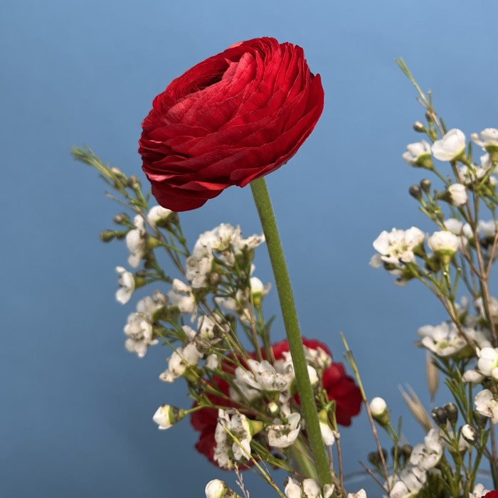 Настольная композиция на ресепшен с красными ранункулюсами